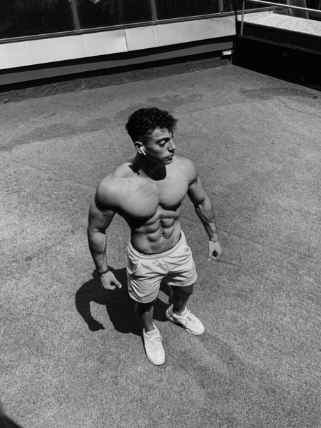 Aleixitofans