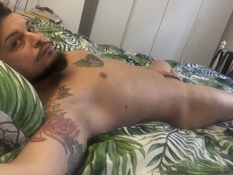 Pavona