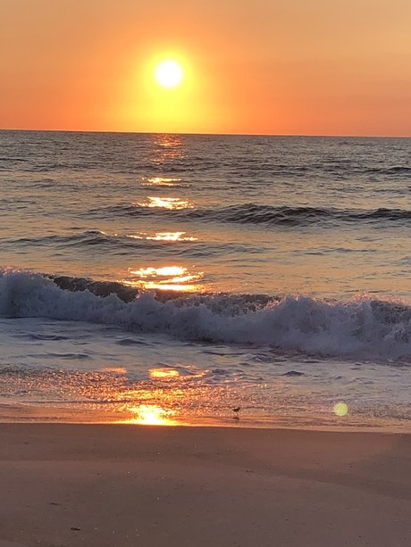 Beach bum 102019