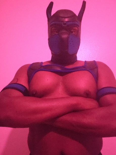 Nacktes geleaktes OnlyFans-Foto von Shadow Pup