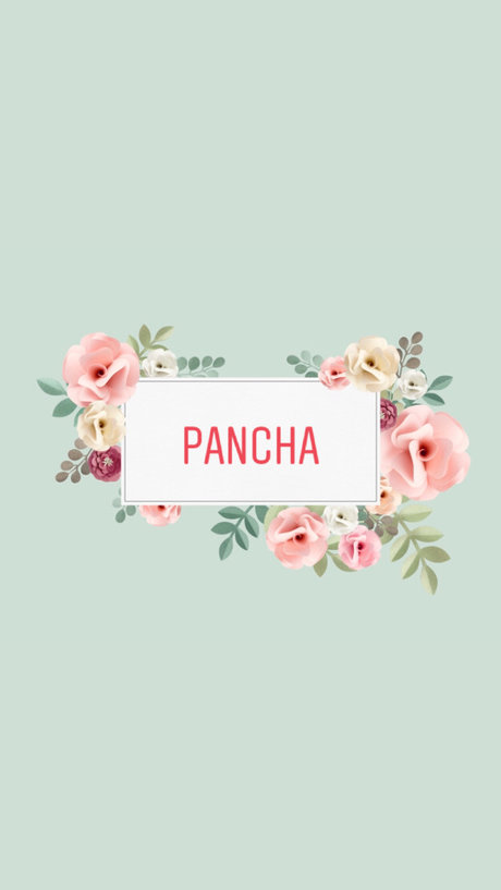 Nacktes geleaktes OnlyFans-Foto von Pancha 