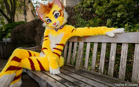 Thatyellowkitty