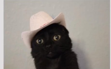 Delilah