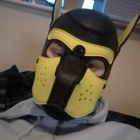 Qaurtz Pup