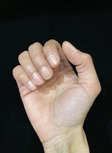 Ds Hands