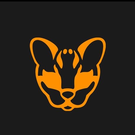 Nacktes geleaktes OnlyFans-Foto von Rockerocelot