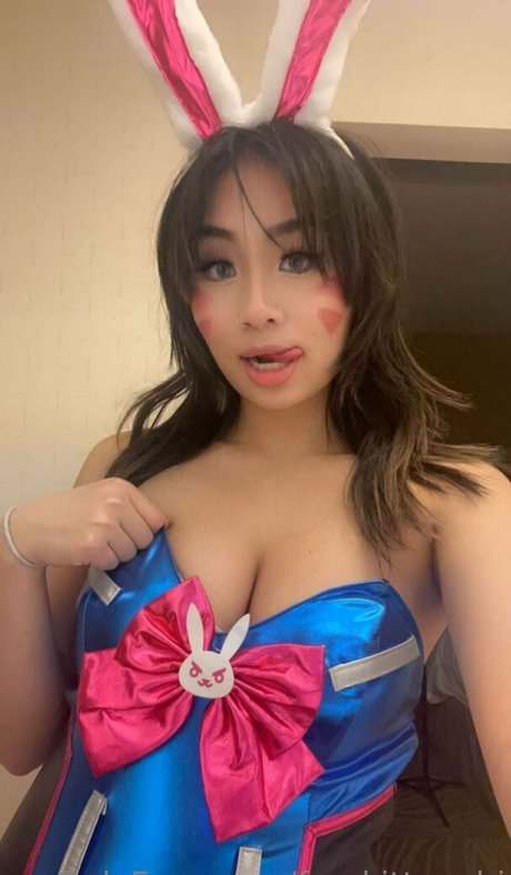 Freekittynobi