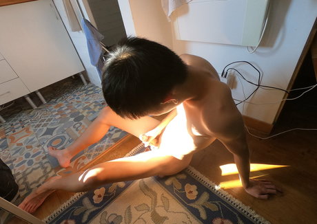 Stallionbunny