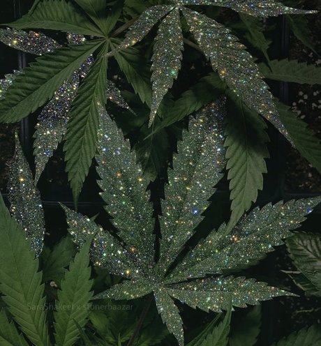 Nacktes geleaktes OnlyFans-Foto von Sexy Sativa