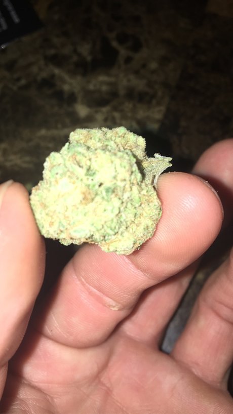 Chiefe