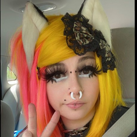 Meowlex