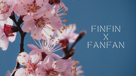 Nacktes geleaktes OnlyFans-Foto von Finfinxfanfan