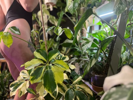 Nacktes geleaktes OnlyFans-Foto von Plantfeetpics
