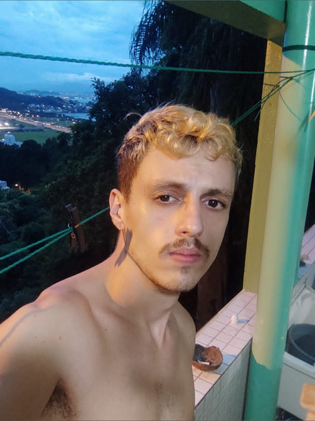 Gurizaobr
