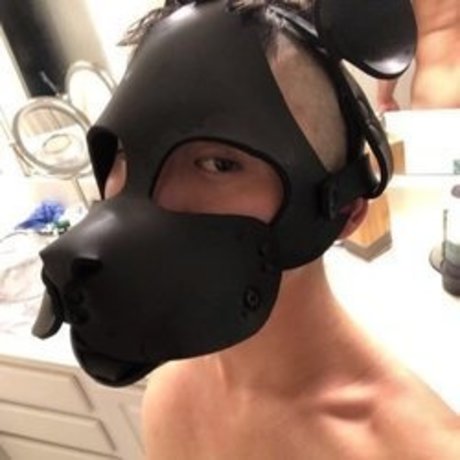 Beta Pup Ready To Play