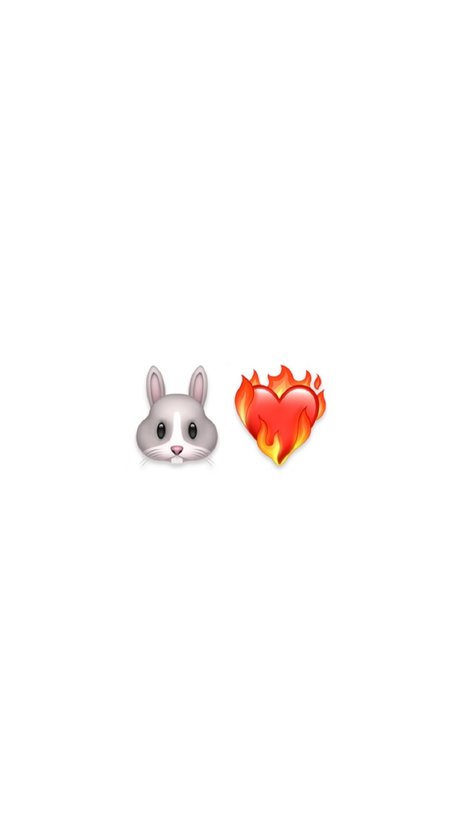 Hotbunny