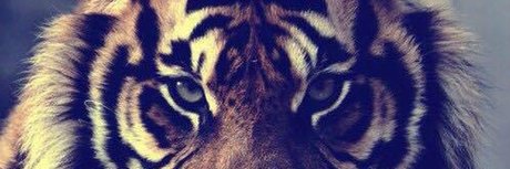 Nacktes geleaktes OnlyFans-Foto von Tiger Papi 