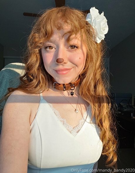 Mandyfrizzle