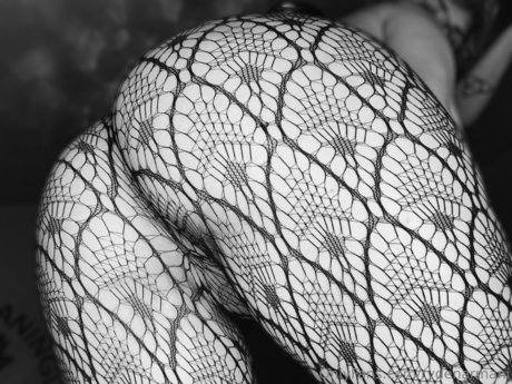 Nacktes geleaktes OnlyFans-Foto von Ryden Armani