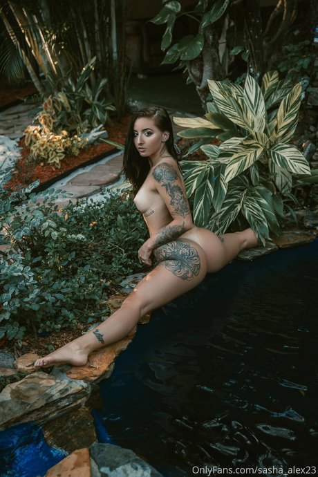Apex Suicide