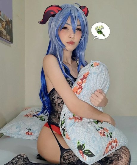 Reisesan