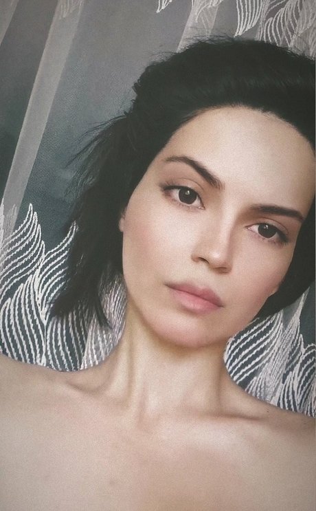 Gymfoxfi