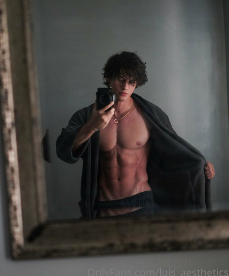 Luisaesthetics