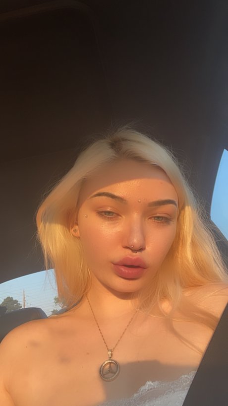 Danni