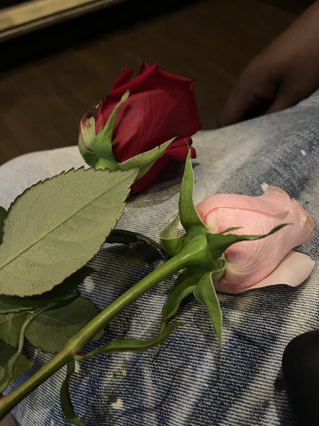 Nacktes geleaktes OnlyFans-Foto von Blueyedcrush