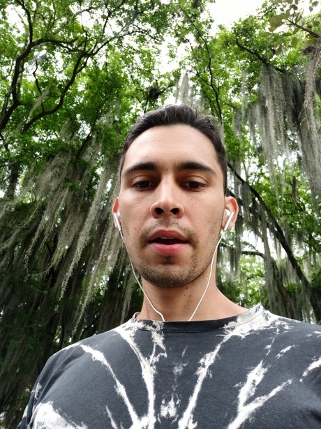 Davidreams 