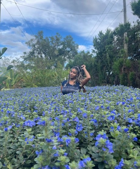 Plantbae