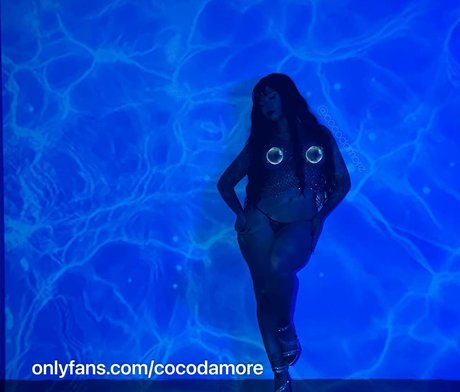 Cocodamore