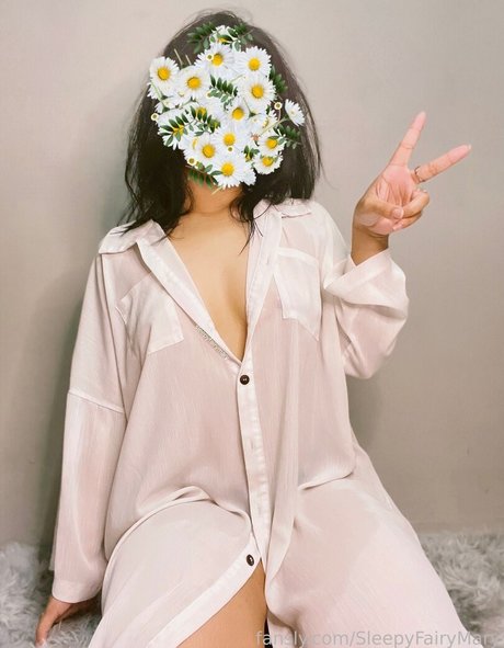 Fairy Mary