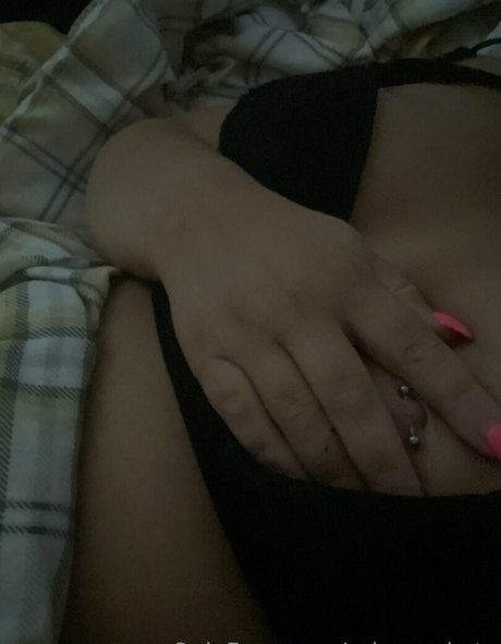 Princesskxte