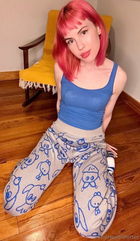 Thehaydnporter