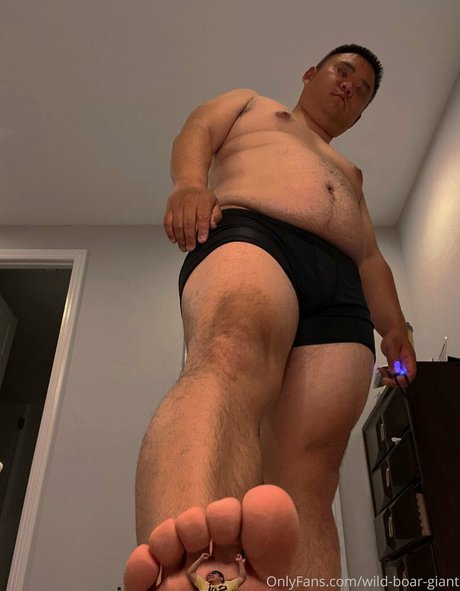 Wild-boar-giant