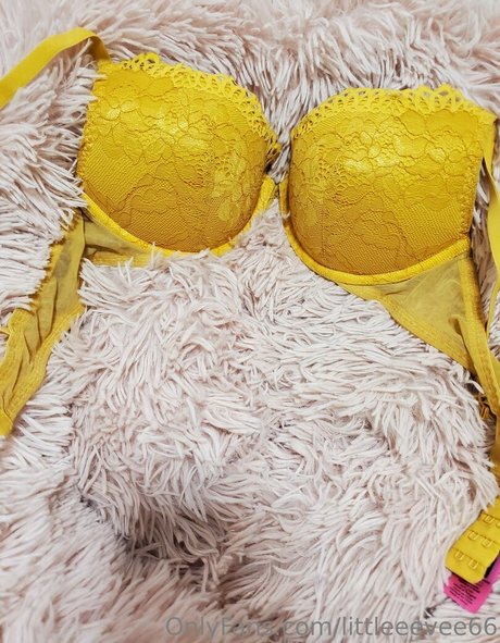 Littleeevee66