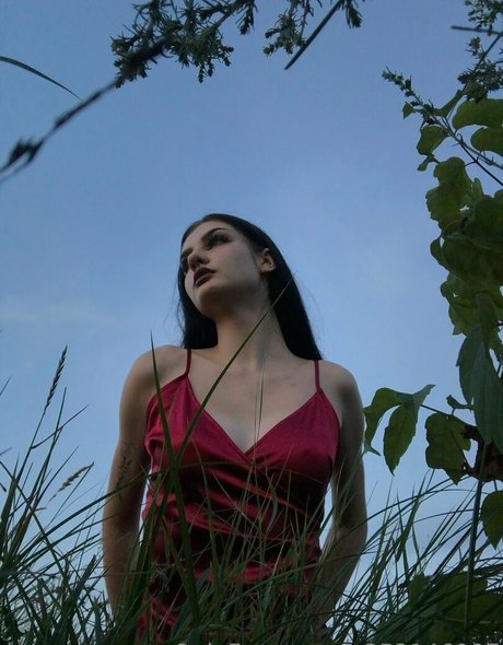 Eveinwonderland