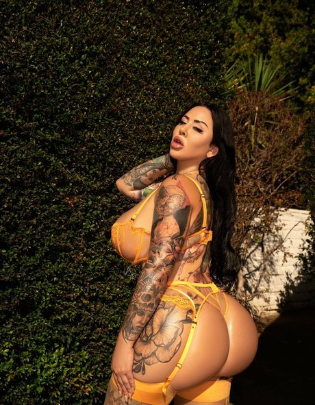 Dreaalexa