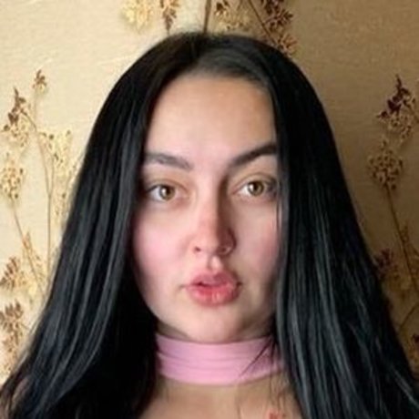 Theiconicdovile