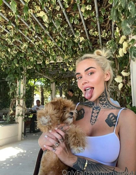 Miafoxybae