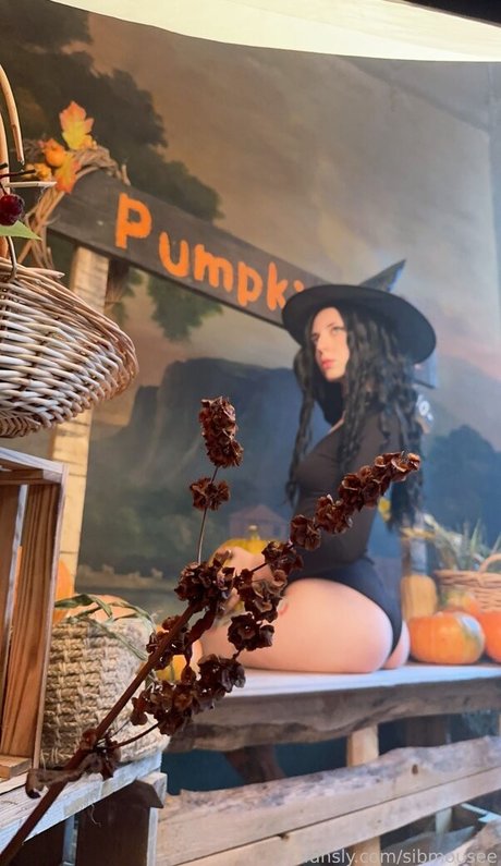 Nacktes geleaktes OnlyFans-Foto von Sibmouse