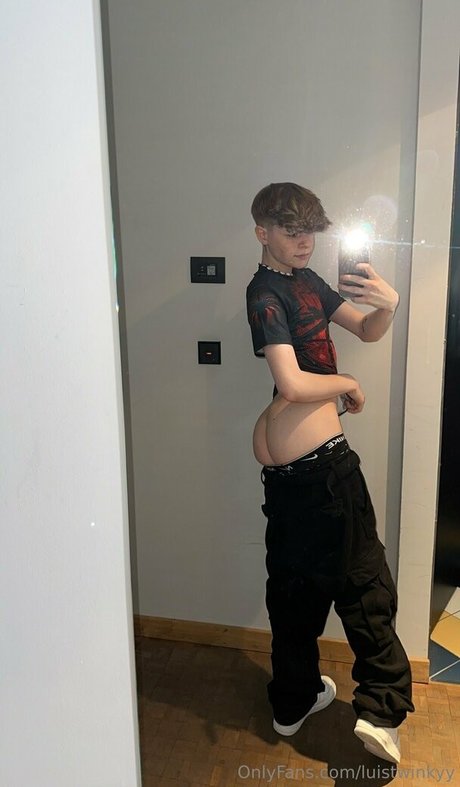 Luistwinkyy