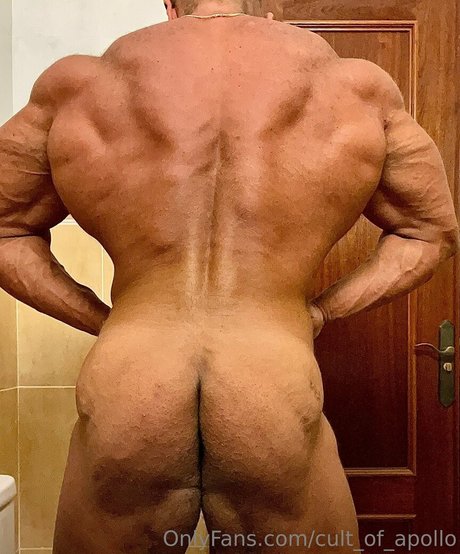 Cultofapollo