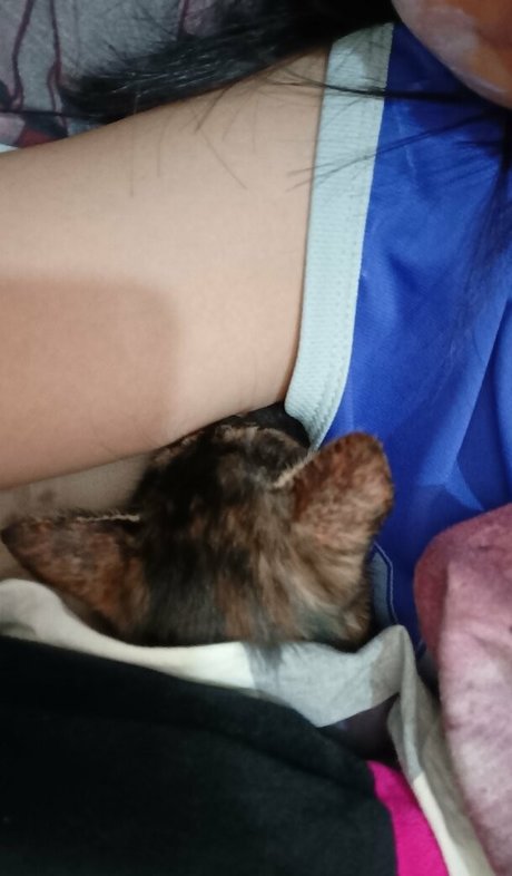Nacktes geleaktes OnlyFans-Foto von Kittylunna