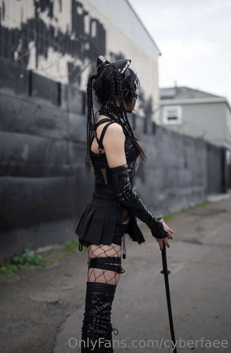 Cyberfaee