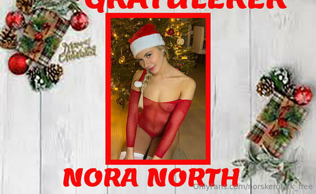 Norskerotikkfree