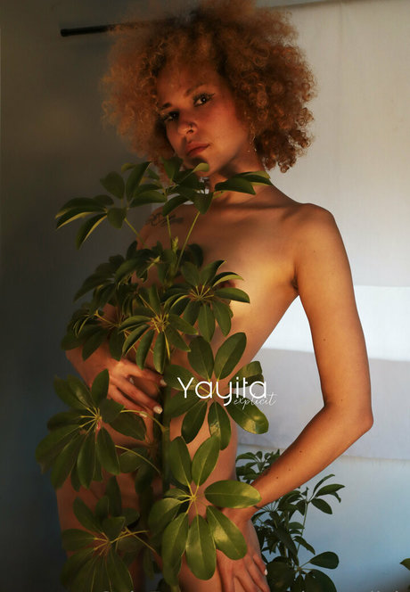 Yayitaexplicit