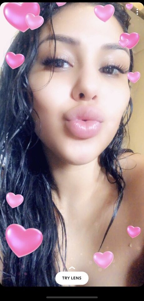 Amydlv