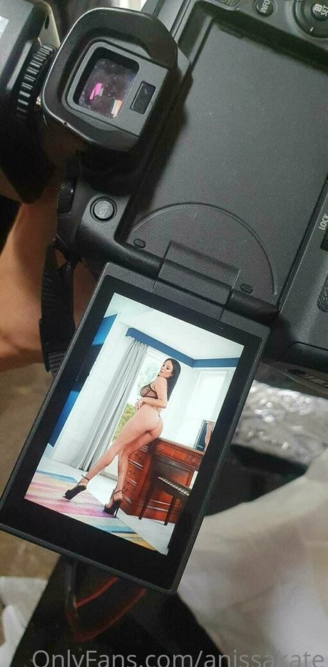 Anissakate